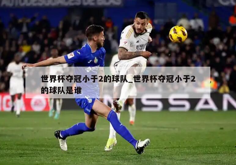 世界杯夺冠小于2的球队_世界杯夺冠小于2的球队是谁