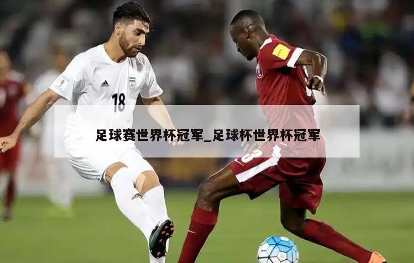 足球赛世界杯冠军_足球杯世界杯冠军