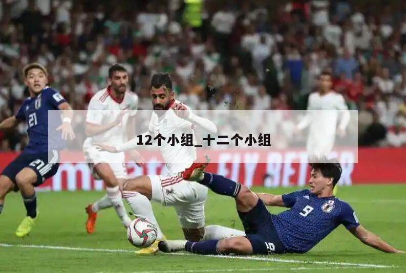 12个小组_十二个小组