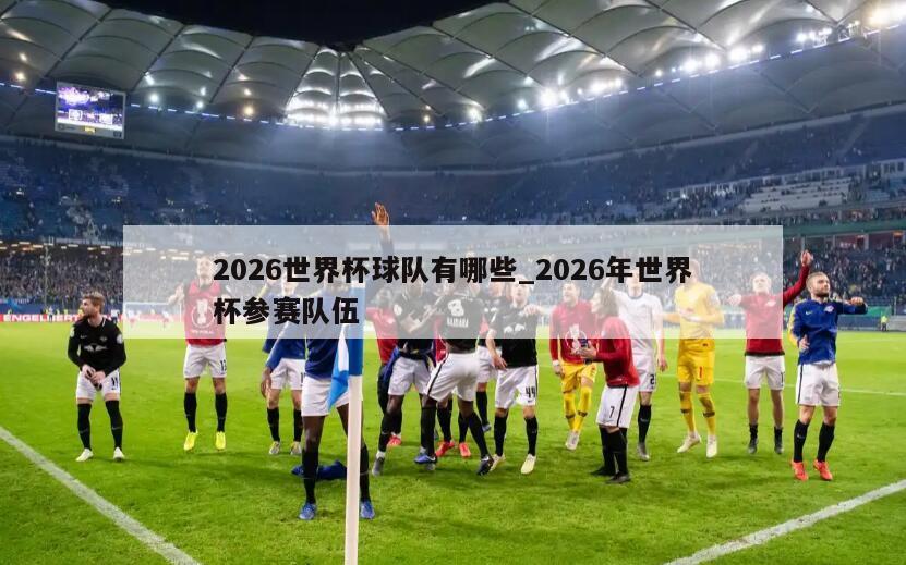 2026世界杯球队有哪些_2026年世界杯参赛队伍