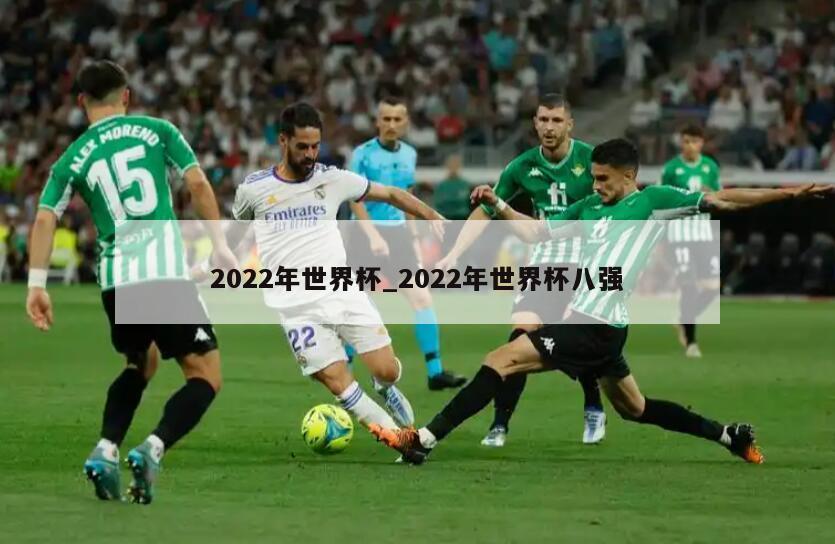 2022年世界杯_2022年世界杯八强
