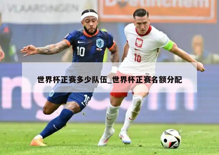 世界杯正赛多少队伍_世界杯正赛名额分配