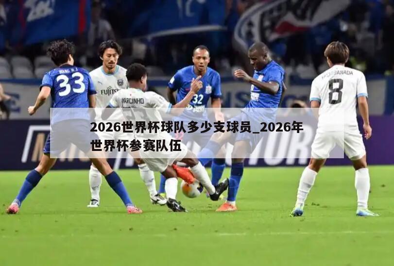 2026世界杯球队多少支球员_2026年世界杯参赛队伍