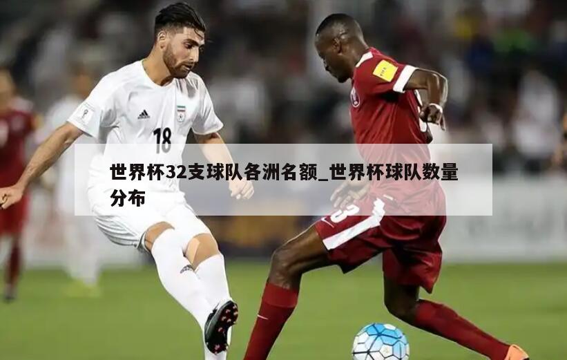 世界杯32支球队各洲名额_世界杯球队数量分布