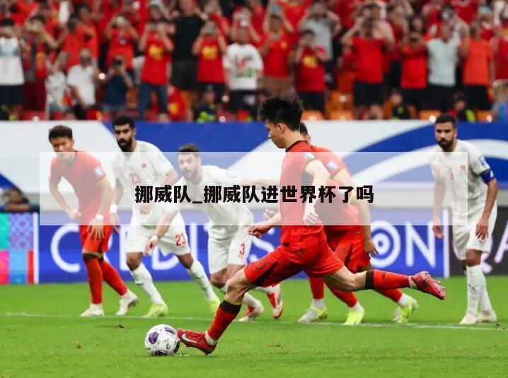 挪威队_挪威队进世界杯了吗