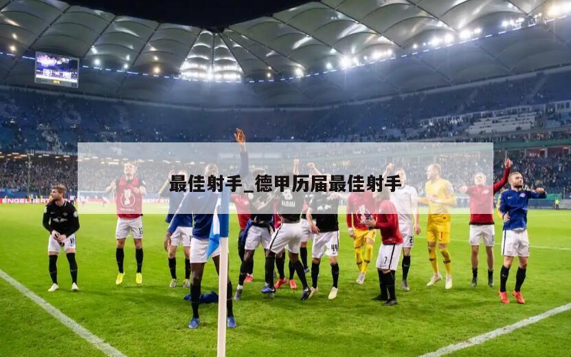 最佳射手_德甲历届最佳射手