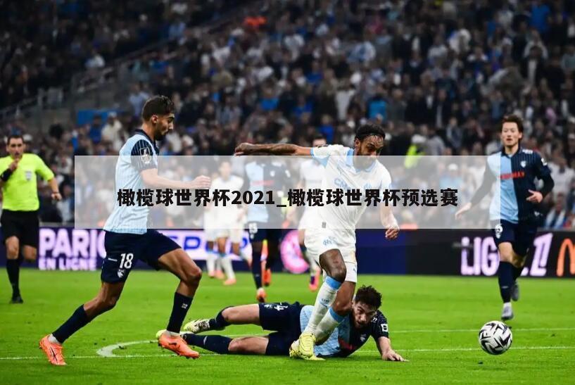 橄榄球世界杯2021_橄榄球世界杯预选赛