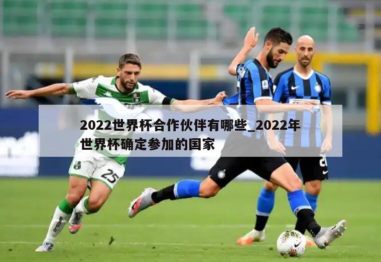2022世界杯合作伙伴有哪些_2022年世界杯确定参加的国家