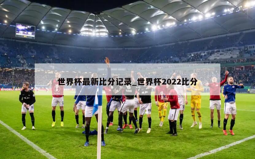 世界杯最新比分记录_世界杯2022比分