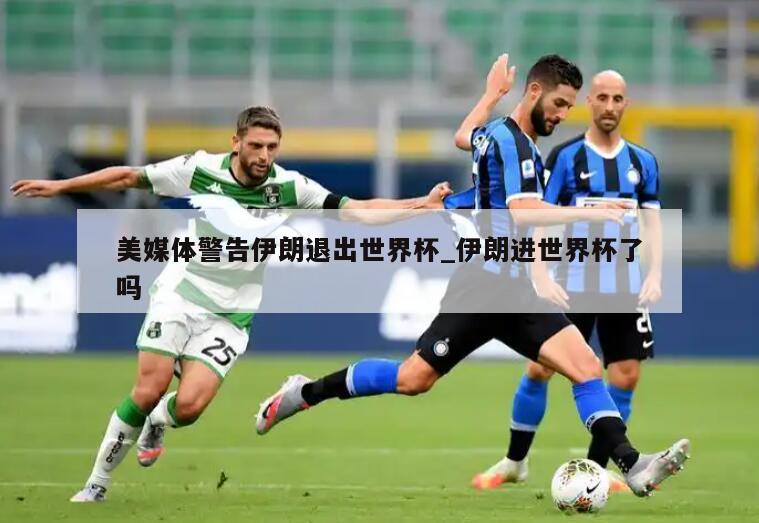美媒体警告伊朗退出世界杯_伊朗进世界杯了吗