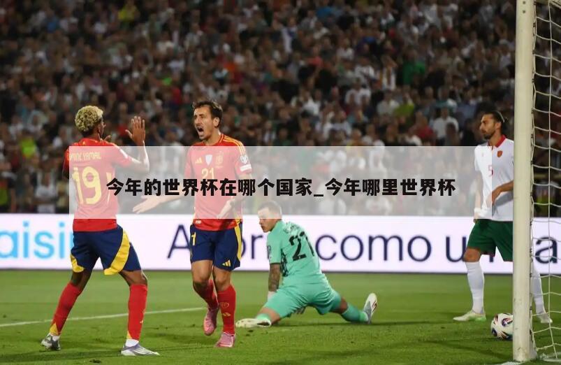 今年的世界杯在哪个国家_今年哪里世界杯